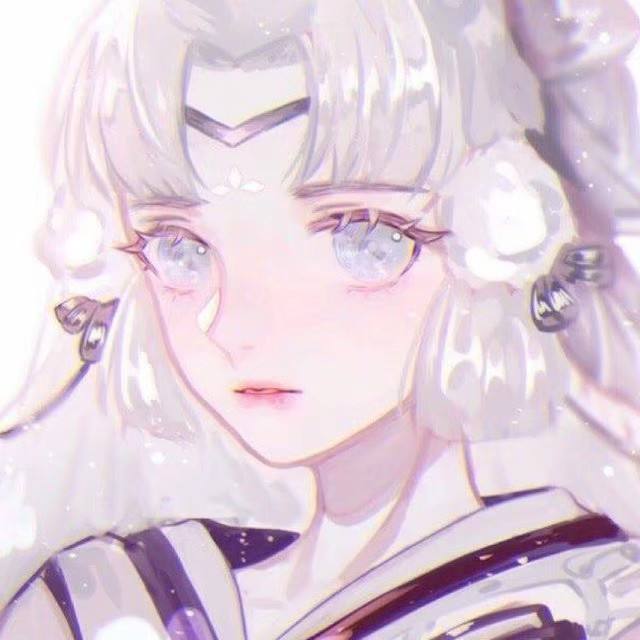 呆萌杀手萌宠猫咪图片壁纸