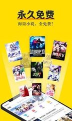 呆萌杀手萌宠猫咪图片壁纸